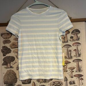 Summersalt shrunken tee shirt NWT